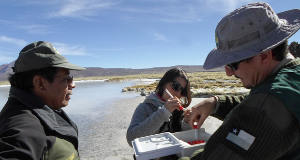 La visita a la región de Arica y Parinacota concluyó con un recorrido de terreno para la toma de muestras biológicas.