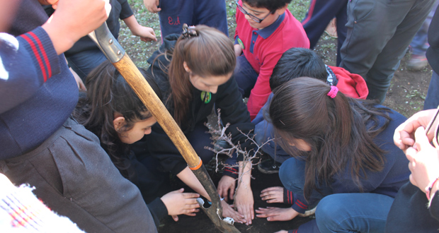 La iniciativa, enmarcada en el programa +árboles para Chile, consistió en una plantación de árboles nativos en el establecimiento educacional.