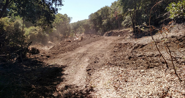 Sin contar con un plan de manejo aprobado por CONAF la sociedad inmobiliaria Altos del Yali taló una superficie de 1.73 hectáreas de bosque nativo en la quebrada La Loma.