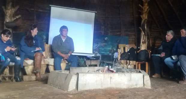 En la ruka de la comunidad de Llaguepulli, comuna costera de Teodoro Schmidt, CONAF Araucanía participó del cierre del proyecto del Fondo de Protección Ambiental, donde aportó con 3.500 plantas nativas y asesoró en la mantención de viveros comunitarios.