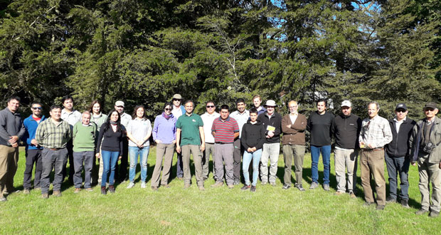 La actividad contó con la presencia profesionales de CONAF Los Ríos de Valdivia y el Ranco, consultores y extensionistas forestales, socios de APROBOSQUE, socios del Colegio de Ingenieros Forestales (CIFAG), INFOR, docentes de la Universidad Austral (UACH) y medianos propietarios.