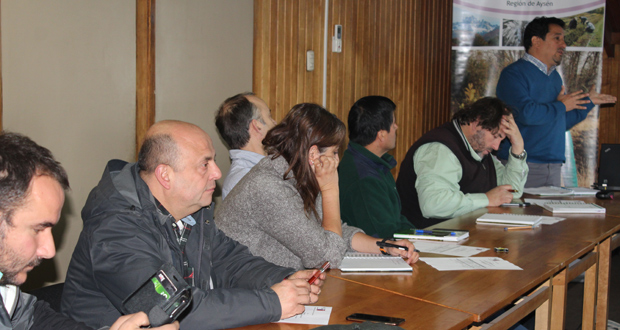 Mesa de Fiscalización de la Leña de Aysén realizó su tercera reunión, presidida por CONAF en su calidad de secretaría técnica.