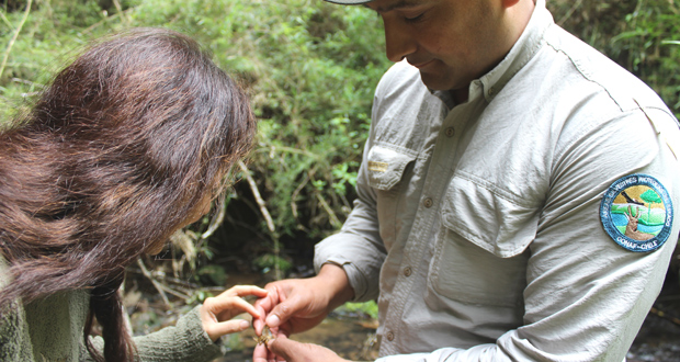 Guardaparques de la Reserva Nacional Nonguén encontraron este crustáceo en tres esteros que atraviesan el área silvestre.
