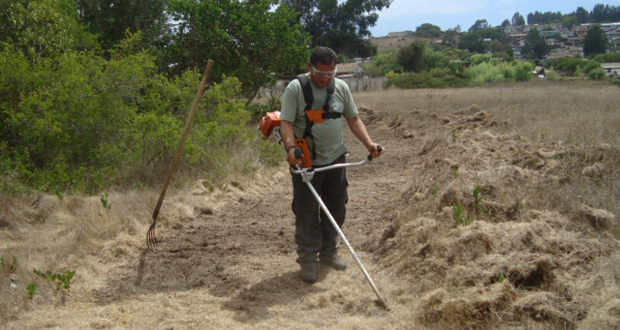 Guardaparques construyeron cortafuegos de 3 metros de ancho en el perímetro de la administración del Santuario de la Naturaleza Laguna El Peral.