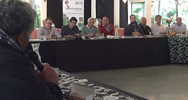 Sesión plenaria del Consejo de Política Forestal se realizó en su versión 18 en la ciudad de Villarrica.