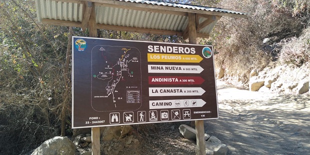 El Parque Nacional La Campana mantiene suspendida la atención de público, como medida preventiva frente al COVID-19.