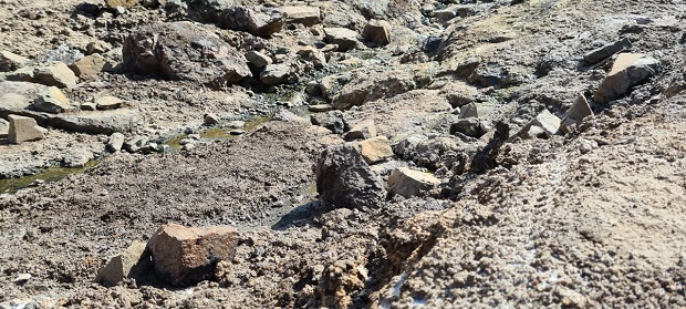 Las actividades de descenso de cerro genera una alteración en los senderos, generando erosión por huellas en todo el sector, especialmente en los cursos de agua y sectores rocosos que son microambientes donde habitan artrópodos.