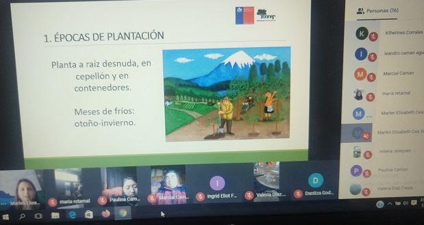 CONAF Los Ríos llevó a cabo dos capacitaciones por medio de video-llamada, destinadas a comunidades del Ranco.
