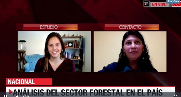 Carla Castro, gerenta de Fiscalización y Evaluación Ambiental de la Corporación Nacional Forestal, CONAF, durante entrevista en línea a través de EMOL TV.