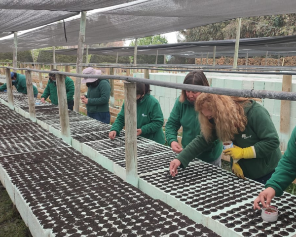 El programa Siembra por Chile también busca generar empleos en la producción de plantas nativas en viveros, con enfoque de género. 